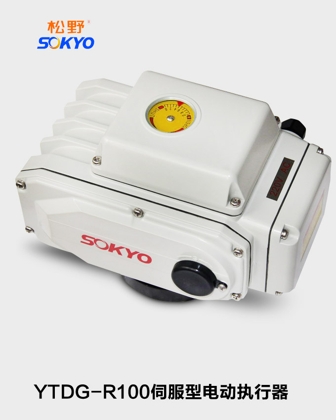 電動執行機構,YTDG-RS100伺服型電動執行器
