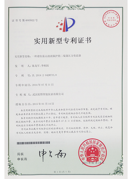 一種帶防雷擊浪涌保護二線制壓力變送器實用新