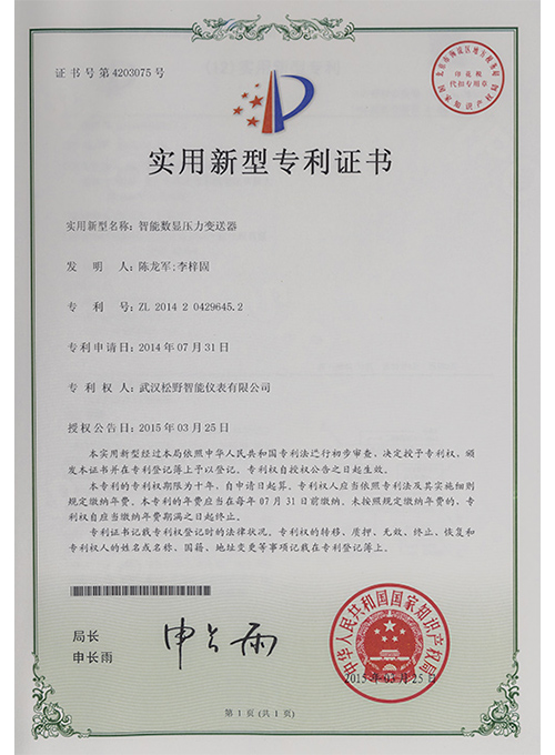 智能數顯壓力變送器實用新型專利