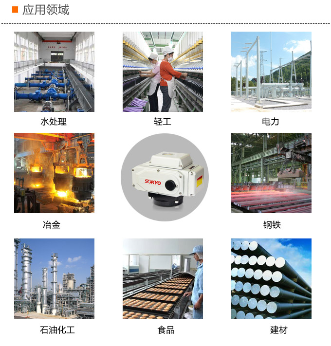 電動執(zhí)行器,電動頭,YTDG-RS100電動執(zhí)行機構(gòu)應用領域
