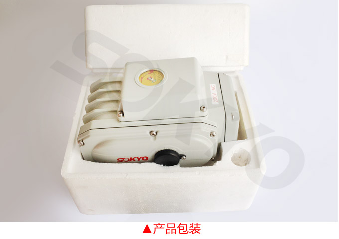 電動執行器,電動頭,YTDG-RS1600電動執行機構產品包裝