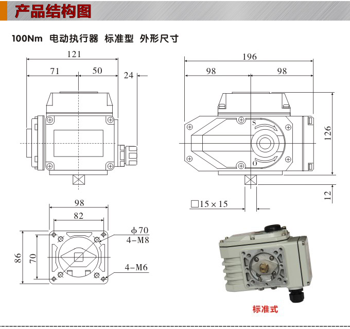  電動執(zhí)行器,電動頭,YTDG-RS100電動執(zhí)行機構(gòu)結(jié)構(gòu)圖,標準式