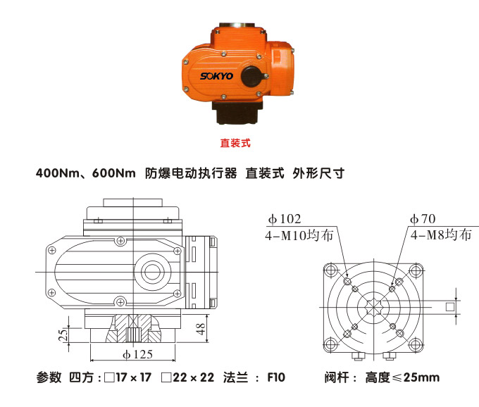 防爆電動頭,YTEx-RKB600防爆電動執行器結構圖,直裝式