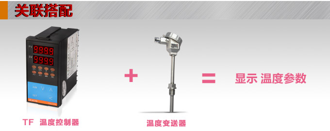 溫度控制器，TF20高精度溫控器，溫控表，高精度控制器關聯(lián)搭配