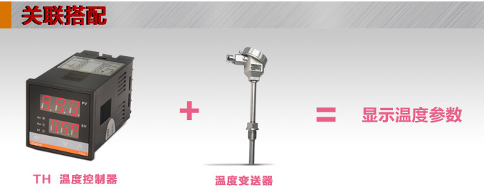 溫控器,TH9經濟型溫度控制器,溫控表關聯搭配